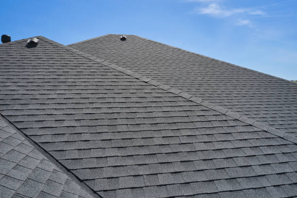 Best Rubber Roofing (EPDM, TPO)  in La Grange Park, IL